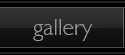 gallery button