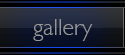 gallery button